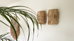 two wall lamps made from grass in natural colours with a plant