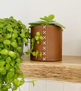cognac colored flowerpot with plant on wooden shelf