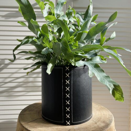 black flower pot with fern