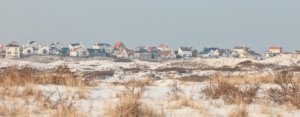 duinen met op achtergrond huizen van Zandvoort