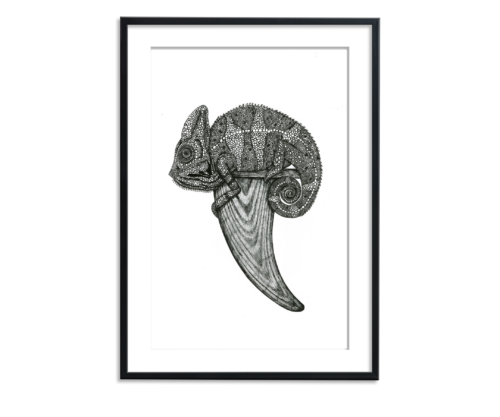 black white illustration of chameleon