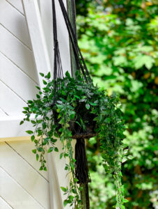 hanging plants in black macrame hanger against white wooden exterior wall