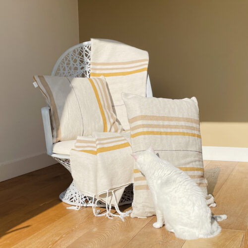 Chair with ecru-colored cushions on a chair with a white cat in front