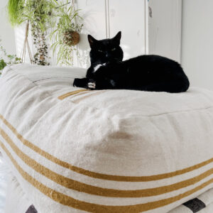 black cat on a cream colored ottoman