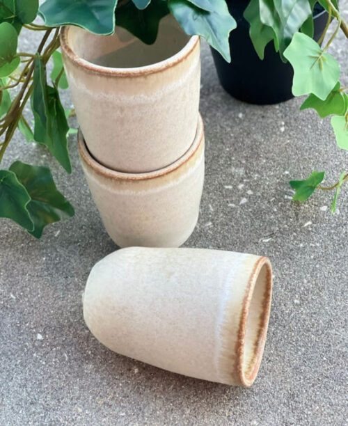 sand-colored cups stacked and lying on concrete surface and surrounded by a plant